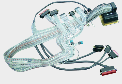 Cicoil (15).png