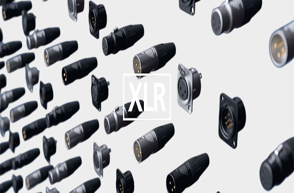 1761551535486500.png REAN (9).png