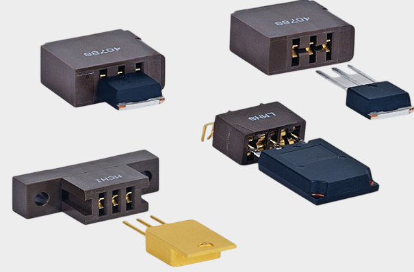 1761978448702271.png Sullins (15).png