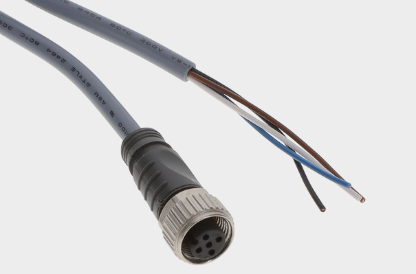 1767594169287971.png Carlo Gavazzi Inc (8).png