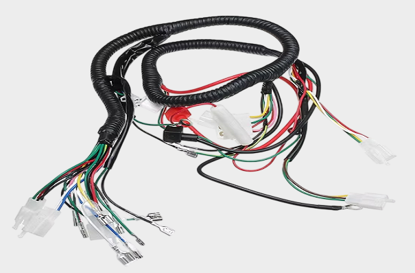 1767853169886179.png Menbers (9).png